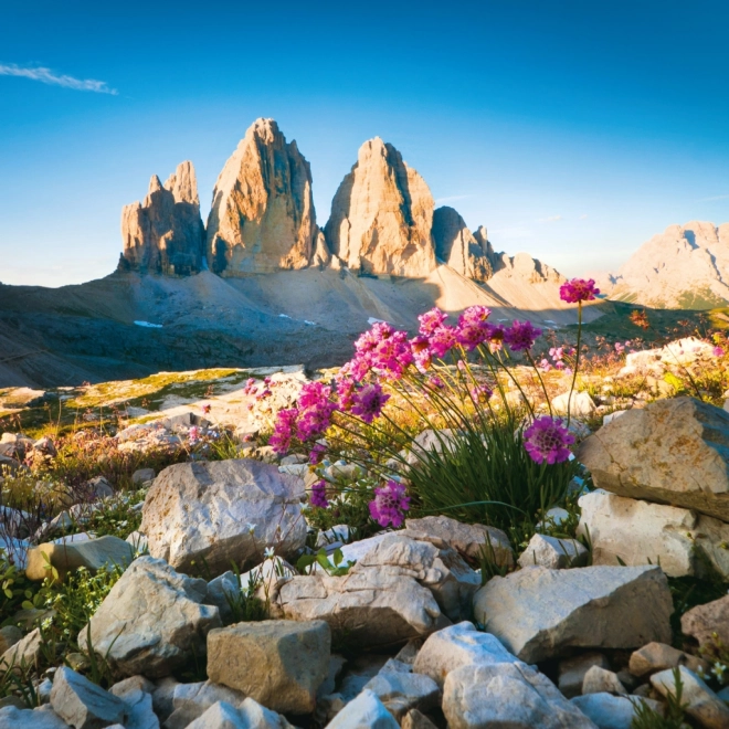 Calendrier de notes Alpes 2026
