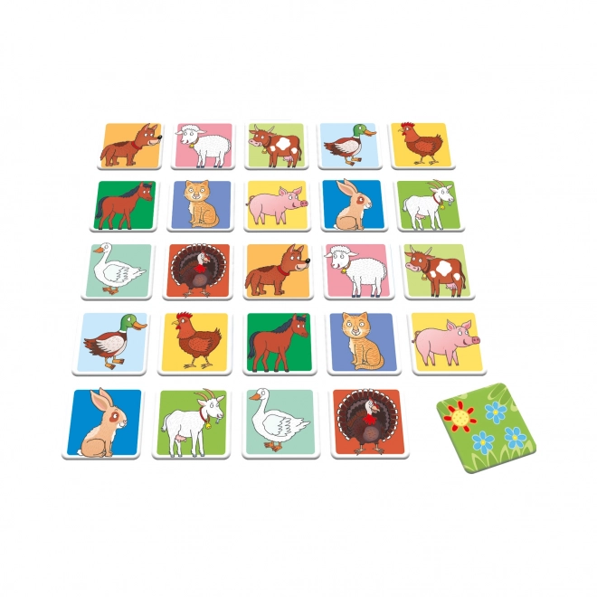 Dino Baby pexeso animaux domestiques