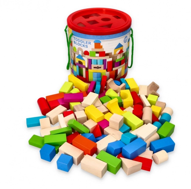 Blocs en bois colorés 100 pcs