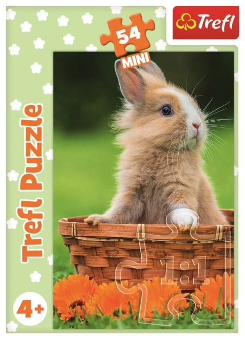 Puzzle Trefl Jolies petites bêtes : lapin dans un panier 54 pièces