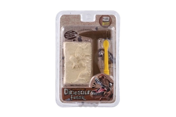 Petit archéologue fossile de dinosaure plastique 2 couleurs sous blister 12,5x19x5cm 12pcs en boîte