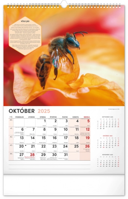 Calendrier mural NOTIQUE Apiculture 2025, 33 x 46 cm
