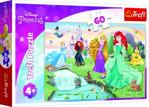 Puzzle Découvrez les princesses 33x22cm 60 pièces dans une boîte 21x14x4cm