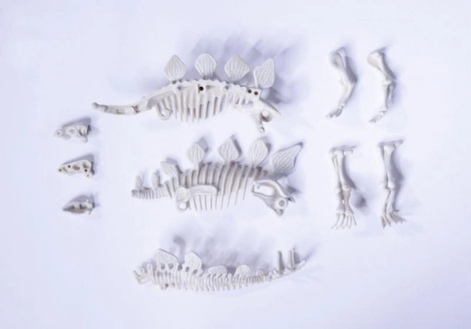 Kit pour déterrer et assembler des squelettes de dinosaures
