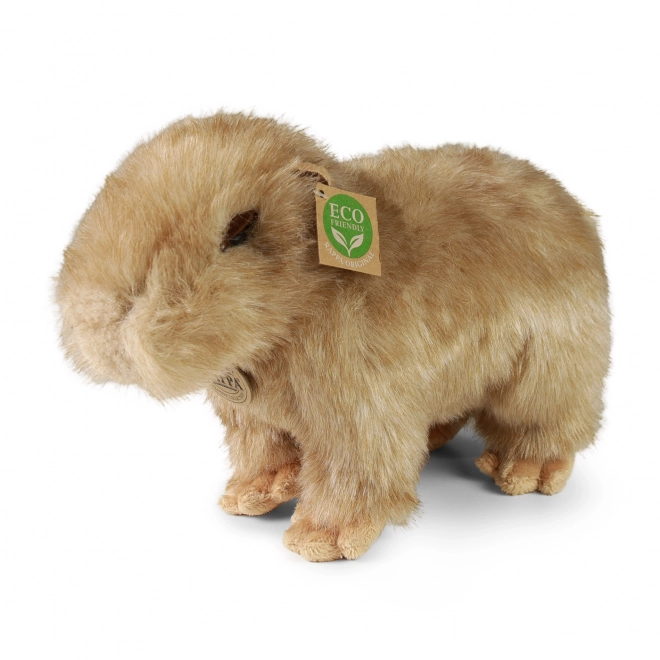 Capybara en peluche 30 cm ECO-RESPONSABLE