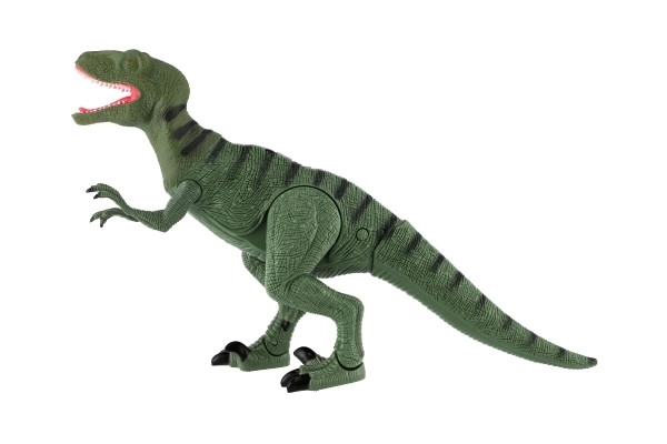 Vélociraptor IC en plastique marchant 50 cm sur piles avec son et lumière dans une boîte de 53x32,5x12cm