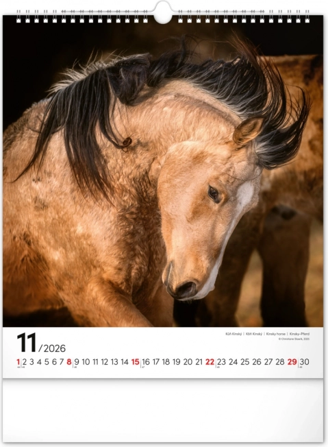 Calendrier mural Chevaux 2026