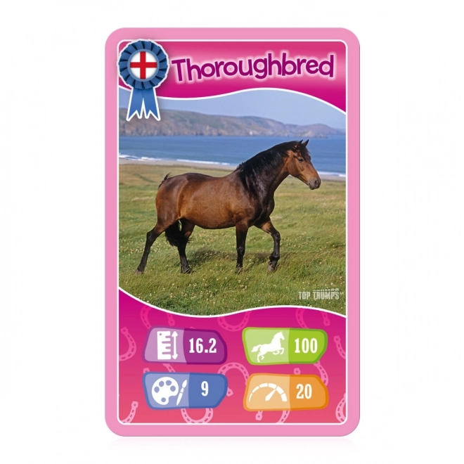 TT Chevaux et Licornes