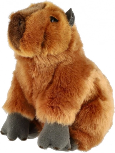 Un look réaliste qui fait plaisir