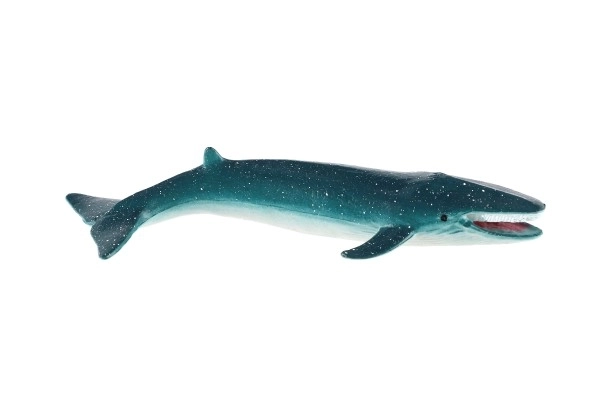 Créatures marines en plastique 8-10 cm mélange de types dans une boîte