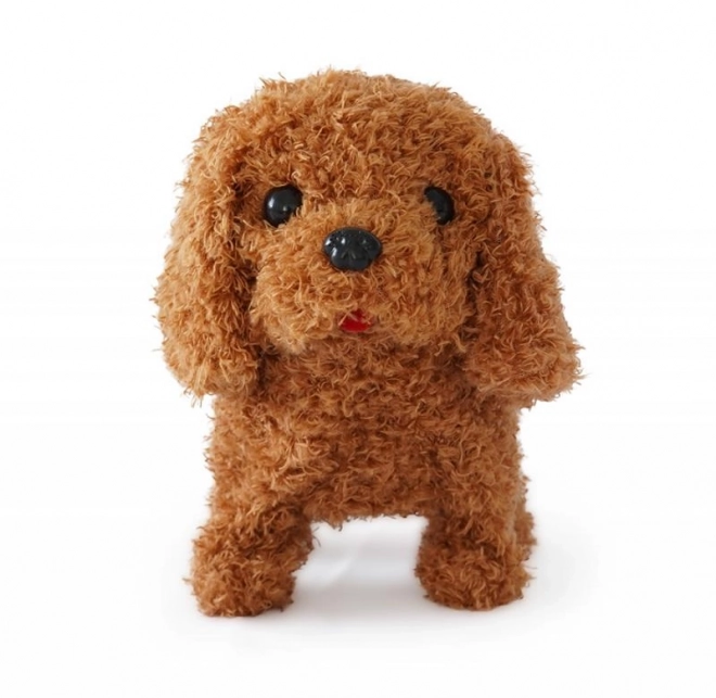 Caniche à piles