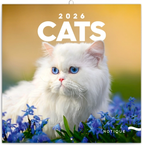 Calendrier bloc-notes Chats 2026