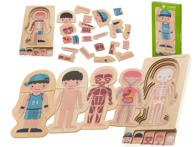 Puzzle en bois multicouche le corps humain Montessori