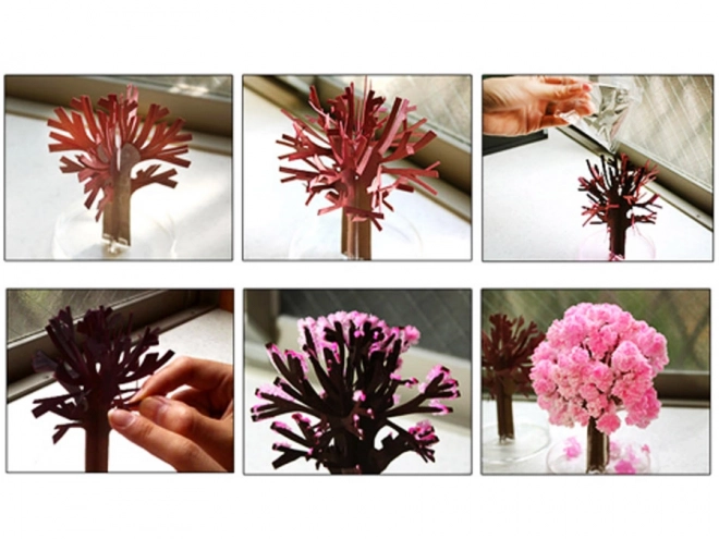 Arbre magique Sakura