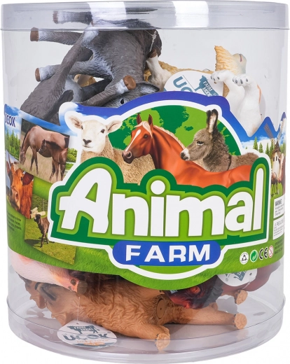 Boîte de rangement transparente pratique