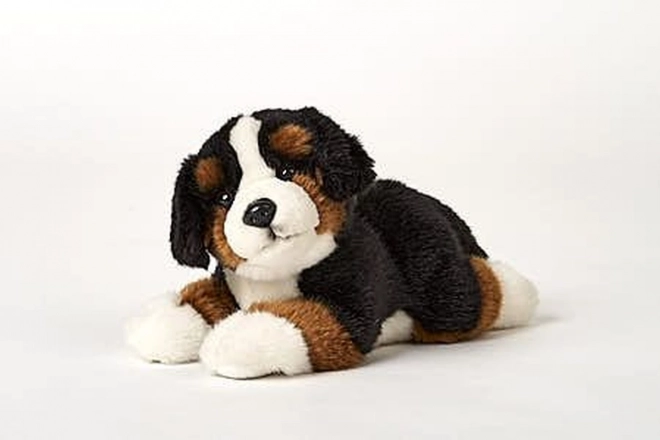 Chien de montagne bernois en peluche 25 cm