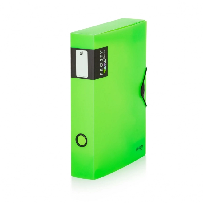 Boîte avec élastique A4 Opaline Frosty verte