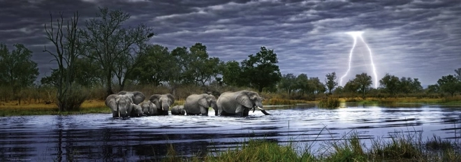 puzzle panoramique Troupeau d’éléphants Botswana 2000 pièces