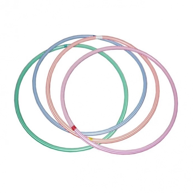 Cerceau hula hoop grand 80cm