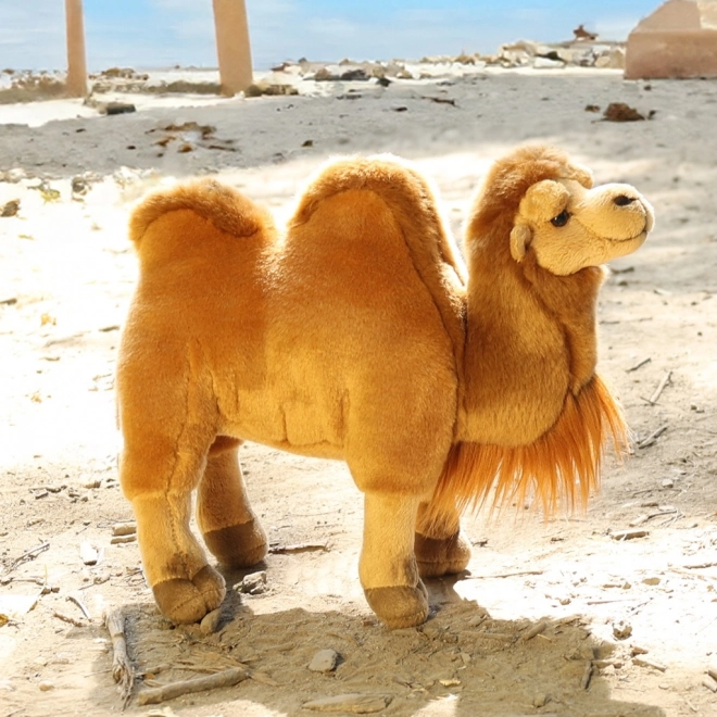 Chameau en peluche 30 cm ÉCOLOGIQUE