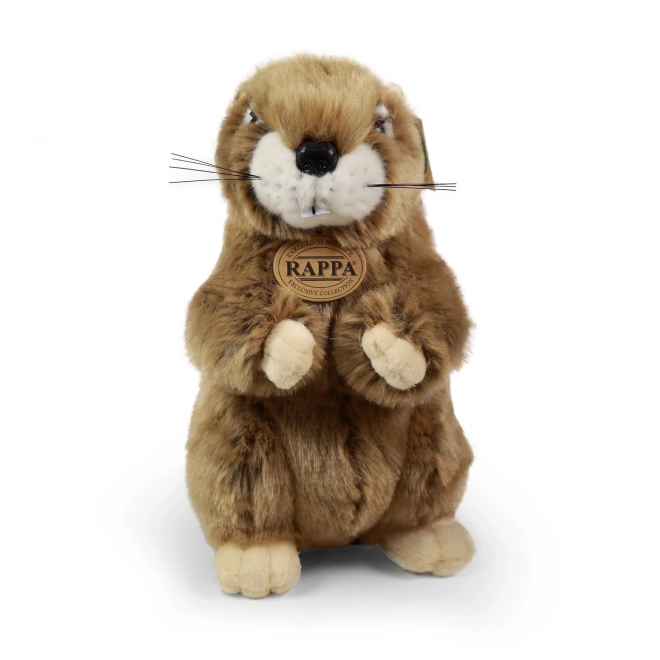 Marmotte en peluche 23 cm ÉCOLOGIQUE