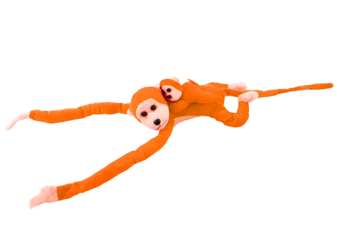 Fixation Pratique avec Velcro
