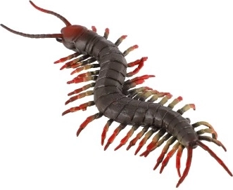 Accessoire antistress idéal