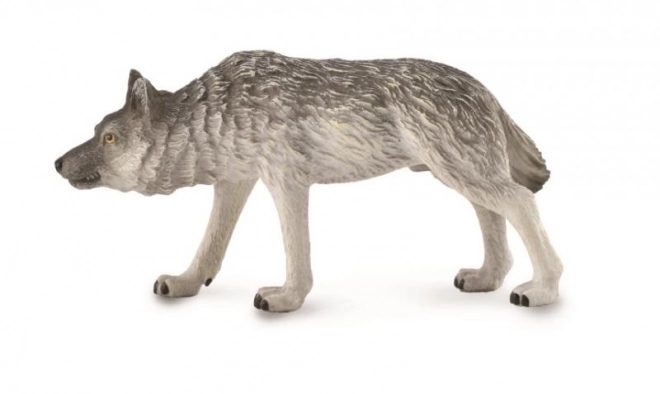 Loup courant