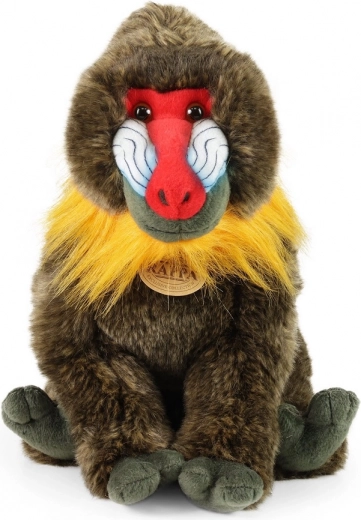 Câlins en toute sécurité dès les premiers jours