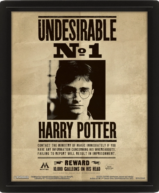 Tableau 3D Harry Potter - Sirius