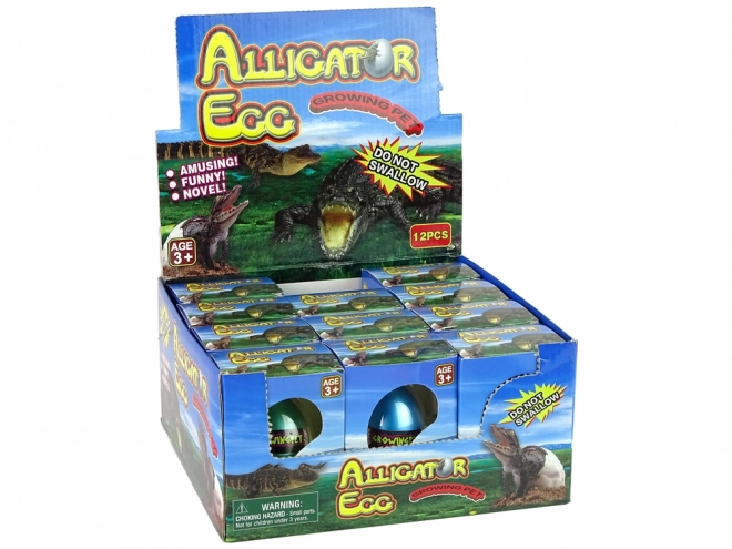 œuf d'alligator crocodile croissant 6 cm