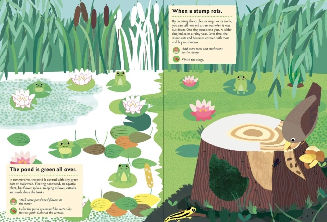 Chronicle Books Livre d'activités avec autocollants Ma nature Dans la forêt