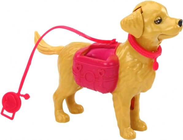 Chien en laisse pour des jeux de promenade