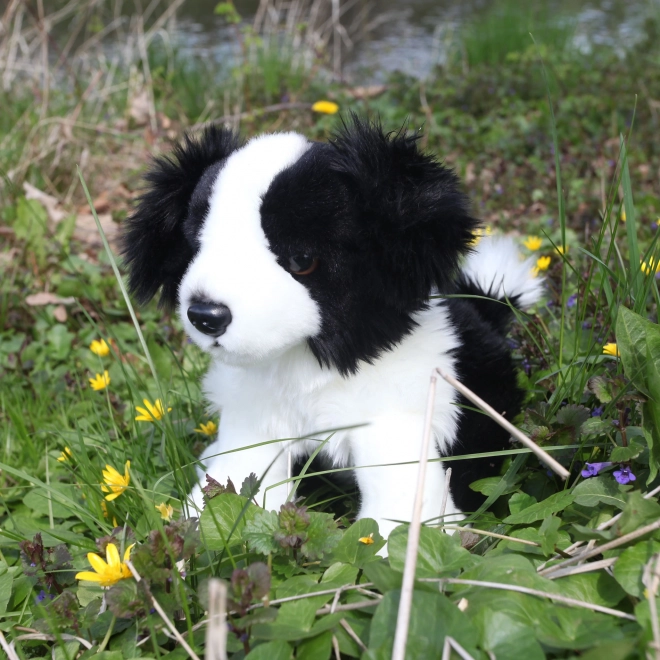 Jouet en peluche Border Collie 30 cm de Rappa - Éco-responsable