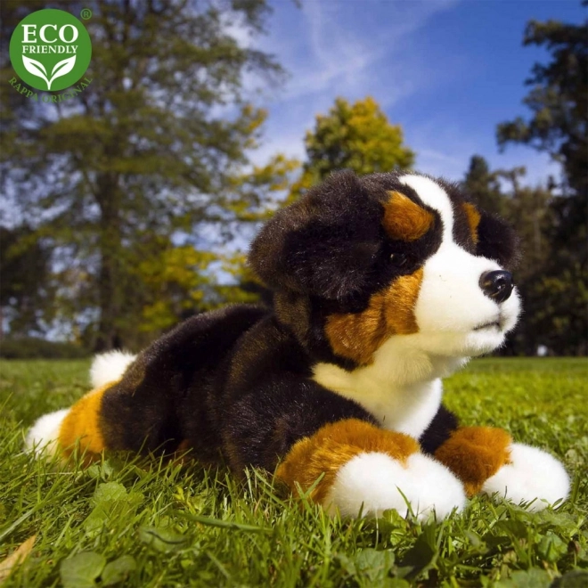 Rappa Peluche chien de montagne bernois allongé 23 cm ÉCOLOGIQUE