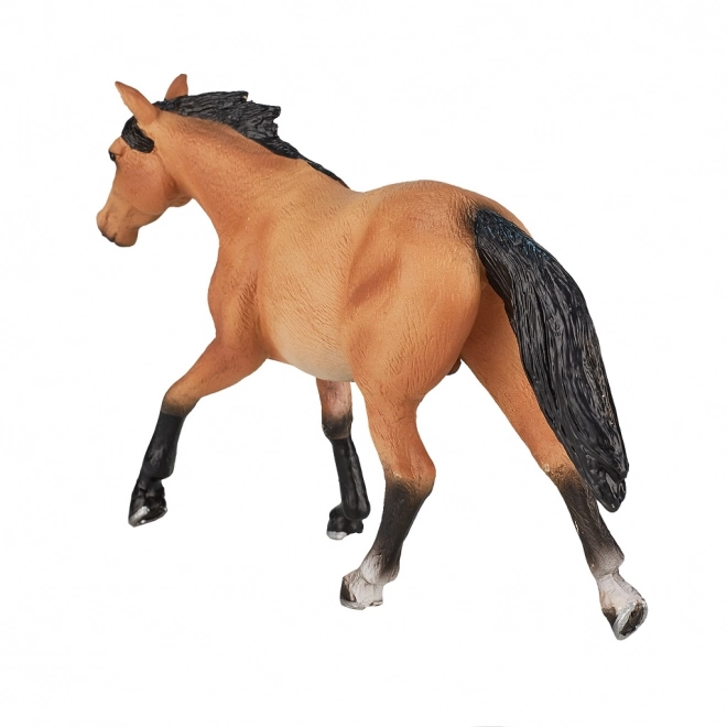 Mojo Cheval marin