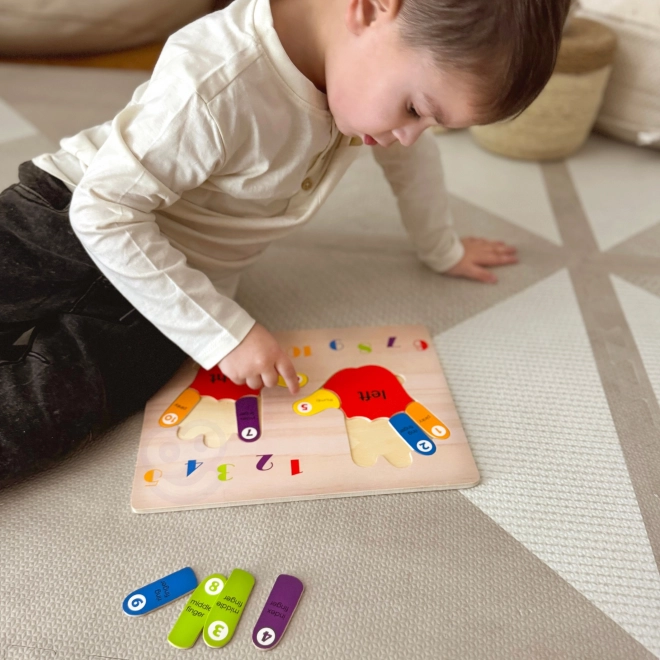 Puzzle éducatif en bois mains et pieds