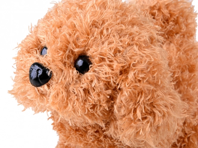 Chien interactif du kit petit vétérinaire
