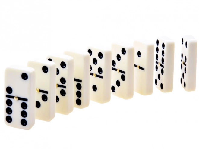 Jeu logique Domino dans un emballage élégant