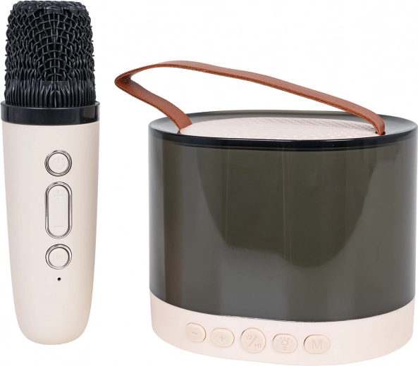 Son clair et puissant avec DSP