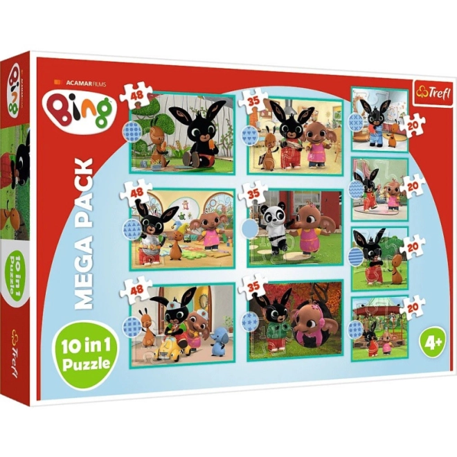 Puzzles colorés et variés