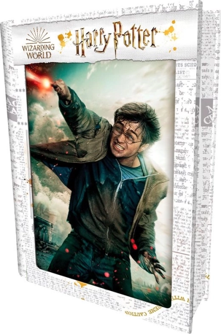 Puzzle 3D HARRY POTTER – Harry, 300 pièces
