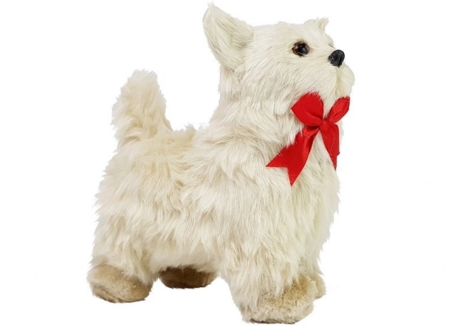 Chihuahua Interactif Le chien se déplace, aboie