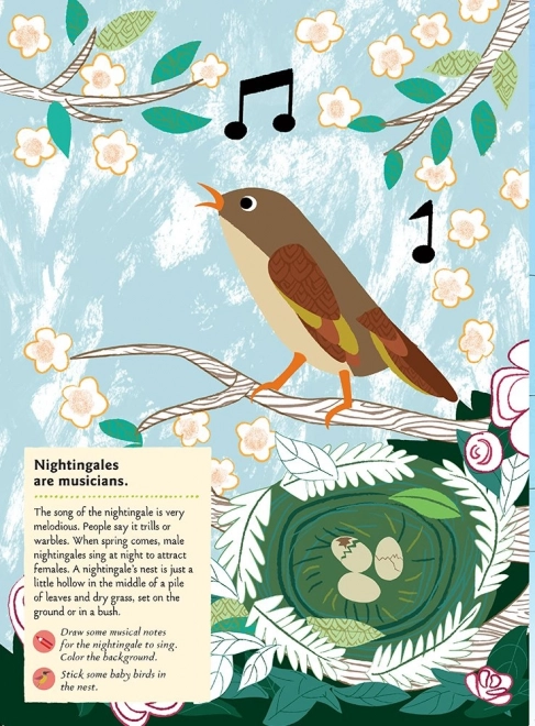 Chronicle Books Livre d'activités autocollants ma nature Oiseaux du monde
