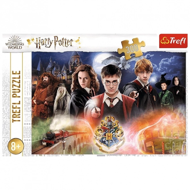 Puzzle Mystère Harry Potter 300 pièces