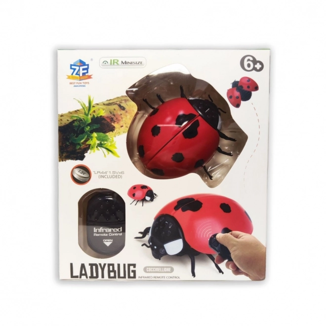 Coccinelle RC télécommandée
