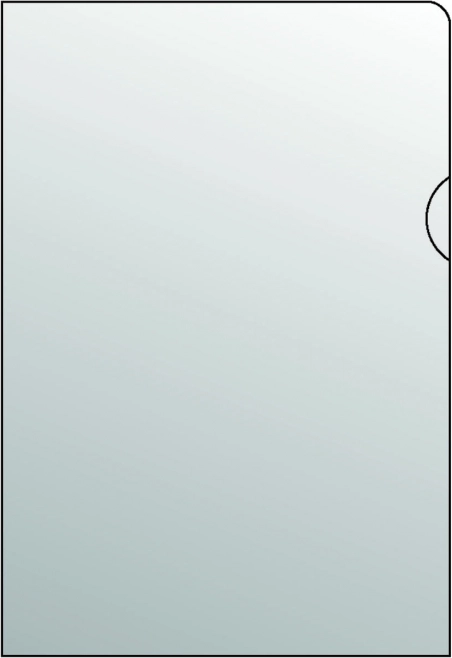 Chemise transparente en L pour documents A4