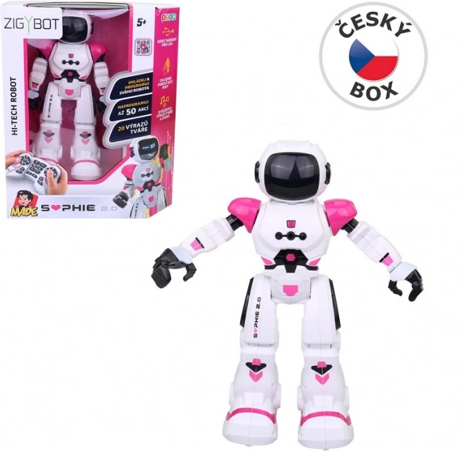 Compagnon robotique Sophie MaDe