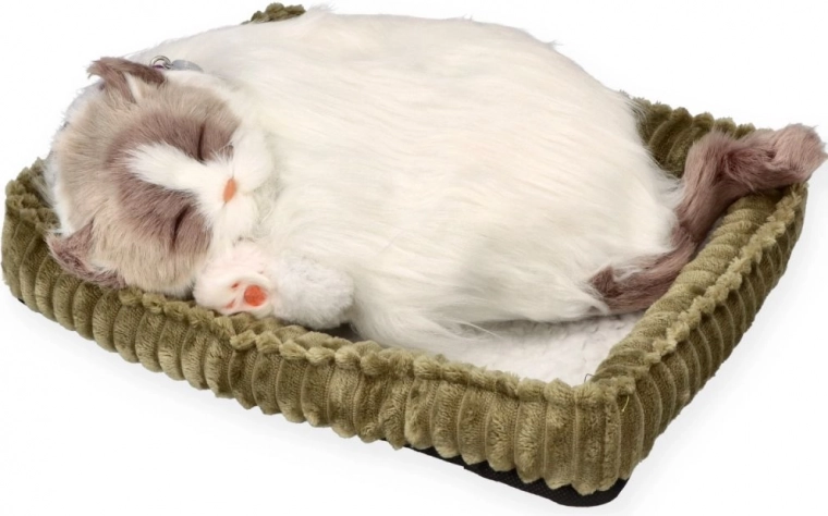 Sommeil réaliste pour apaiser