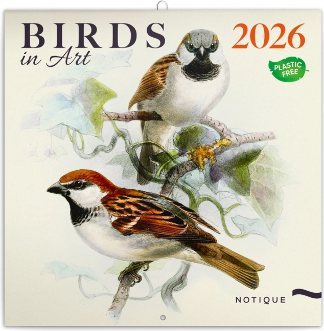 Calendrier bloc-notes Oiseaux 2026